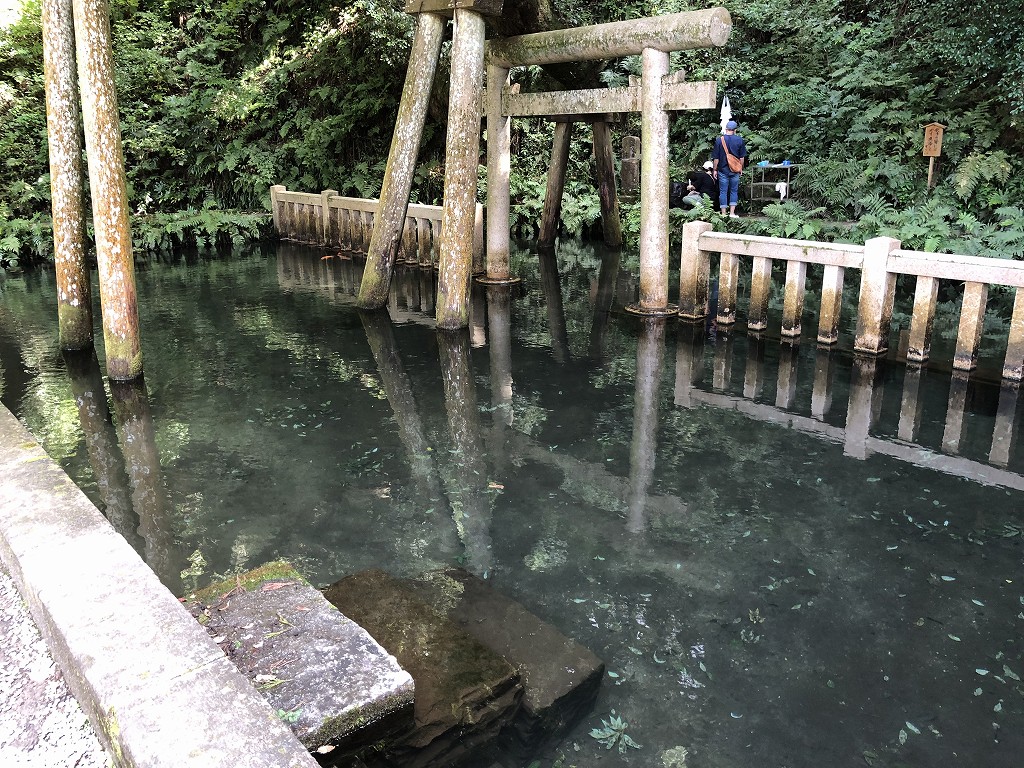 鹿島神宮の御手洗の池1