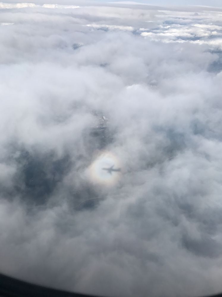 飛行機から見たブロッケン現象