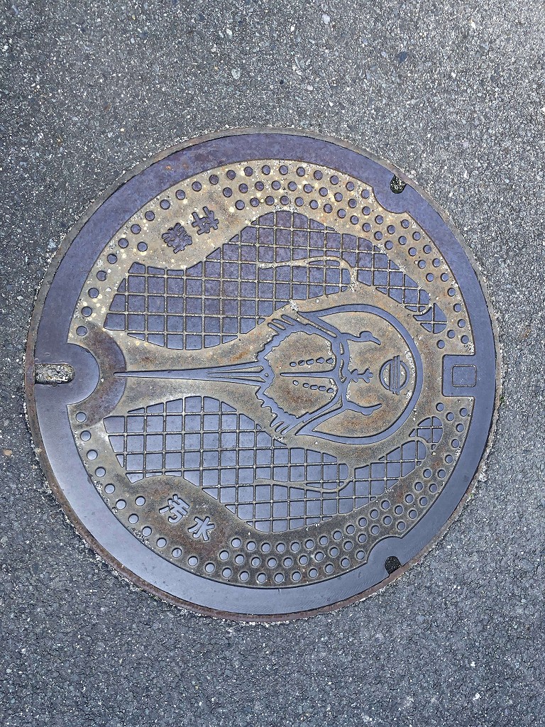 杵築のカブトガニ柄のマンホール