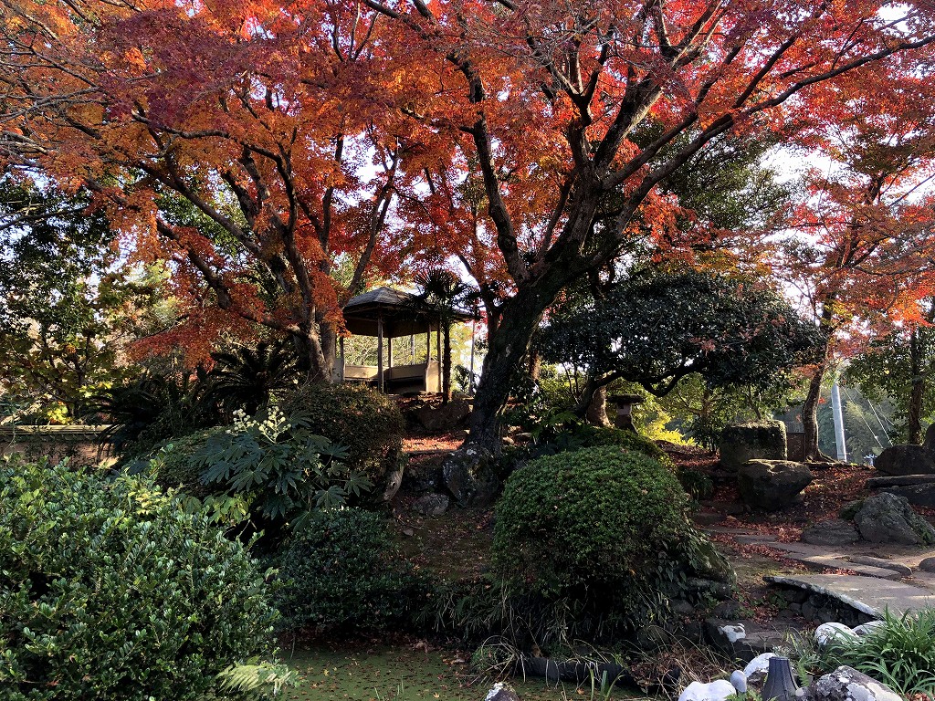 杵築の大原家住宅の庭1