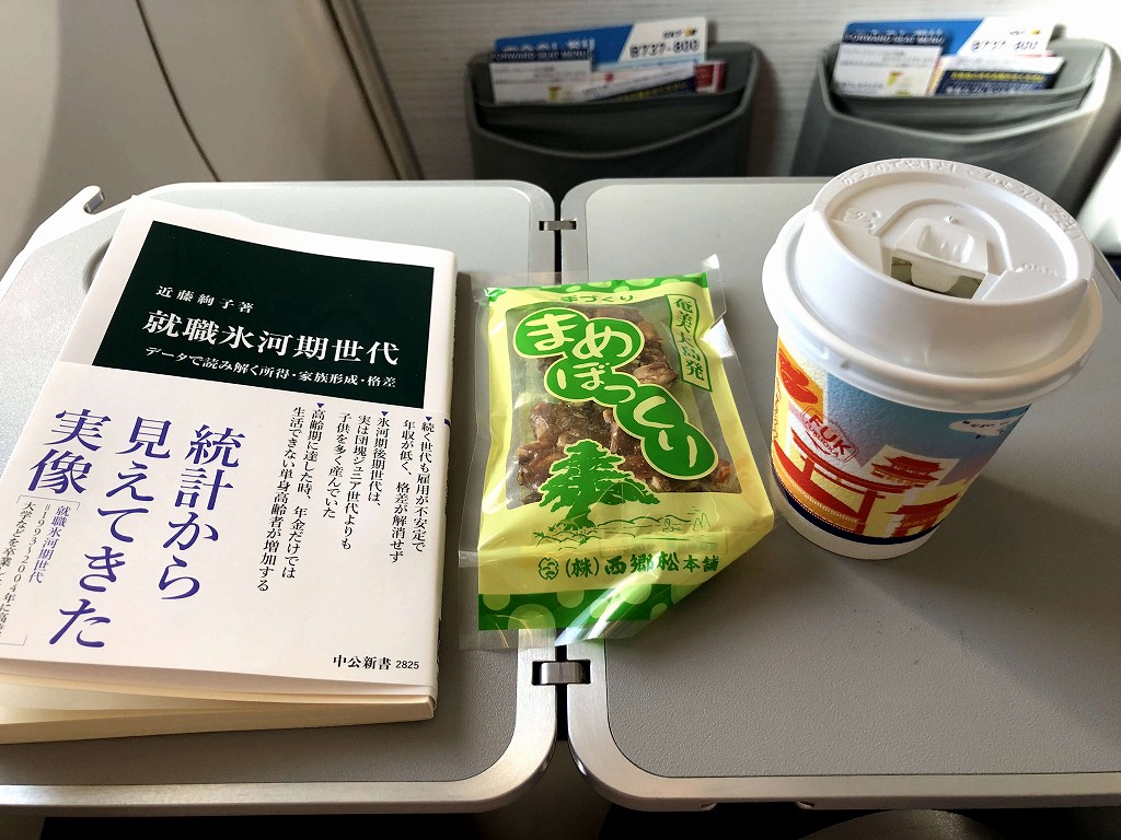 スカイマーク103便で貰ったまめぼっくり