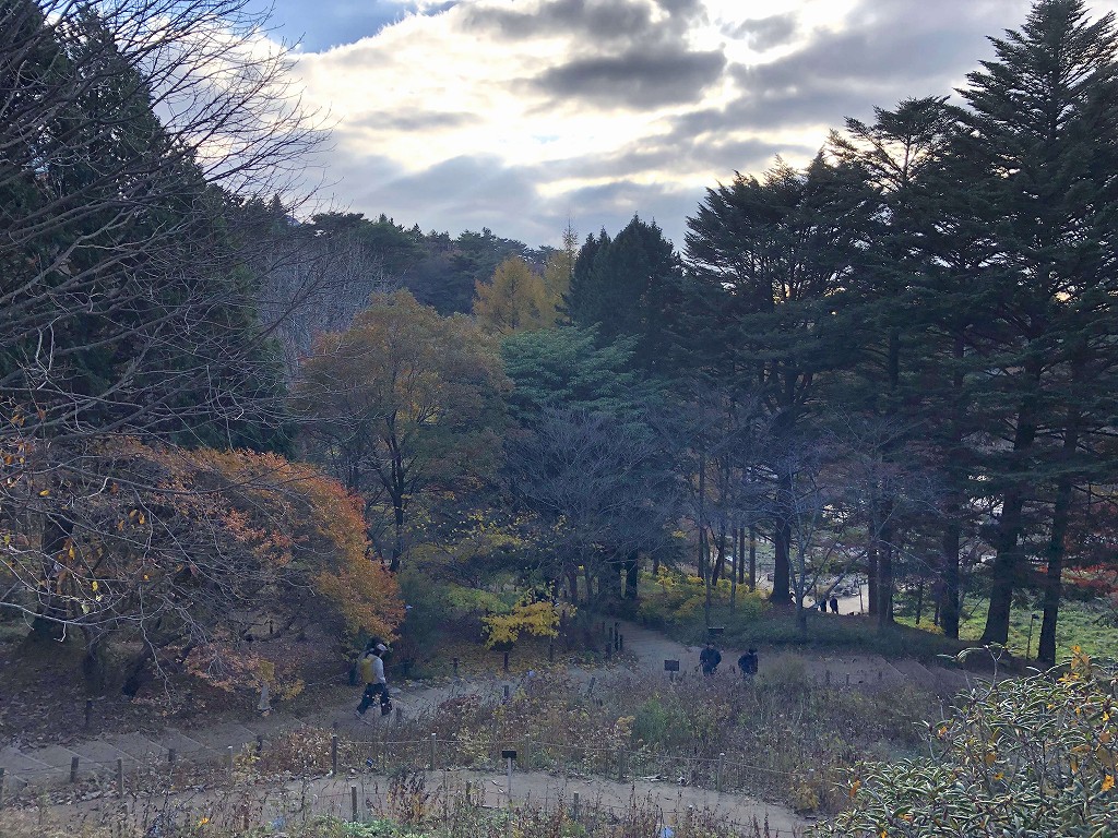 高山植物園の入口付近