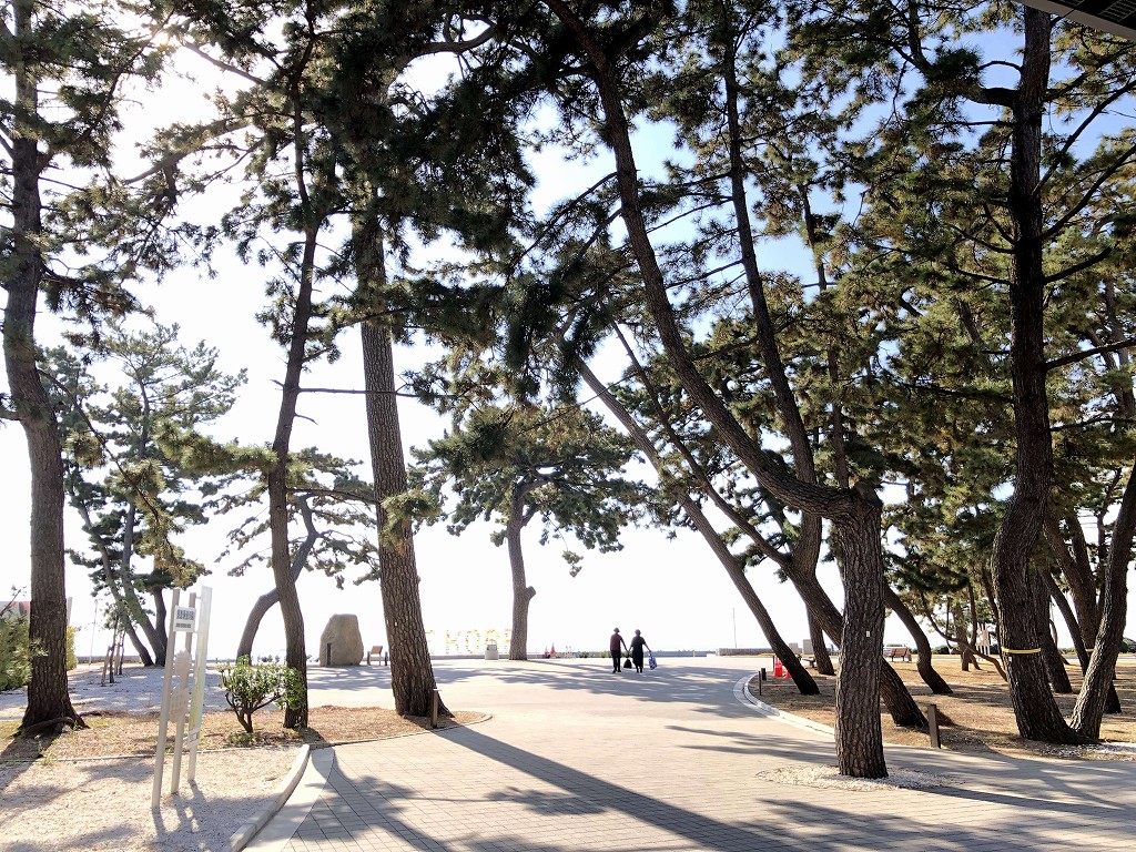 白砂青松の須磨海岸1