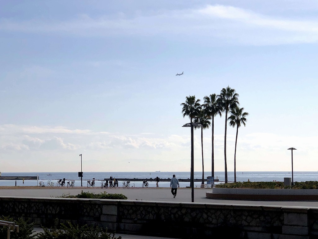 須磨海岸から見る飛行機