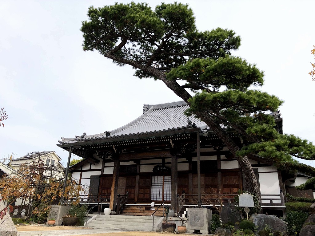 藩架山(ませがきさん)現光寺の松