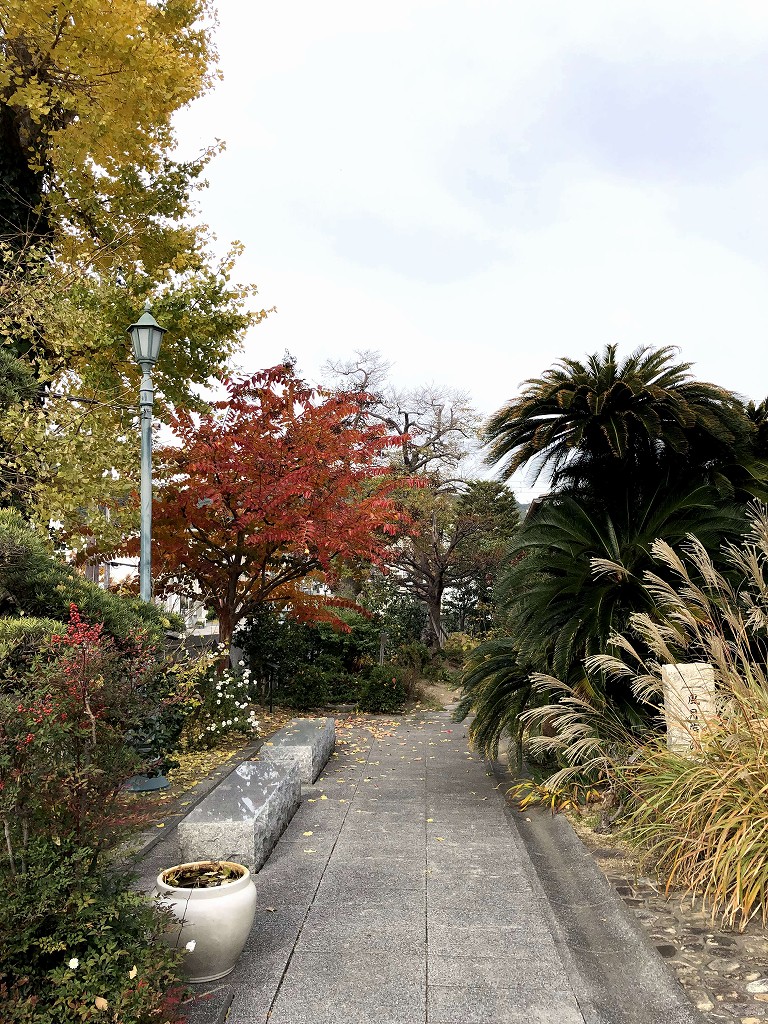 藩架山(ませがきさん)現光寺の松