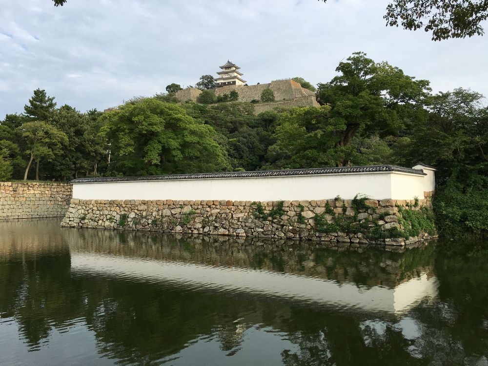 丸亀城（近景）1