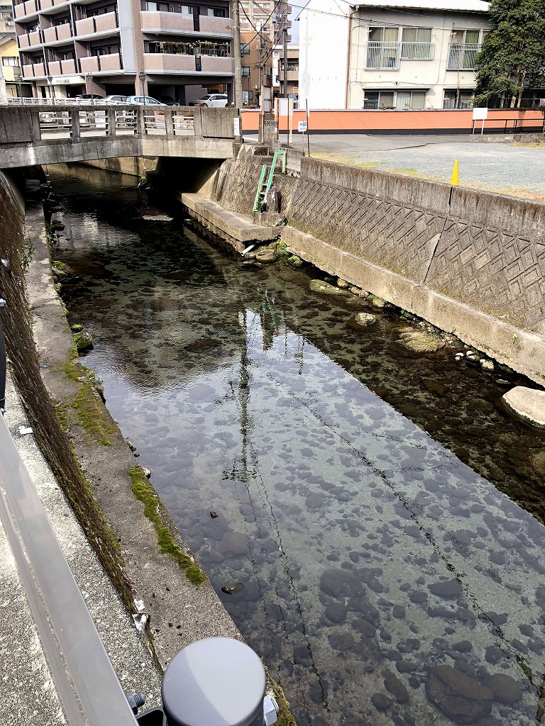 水前寺公園近くの藻器堀川