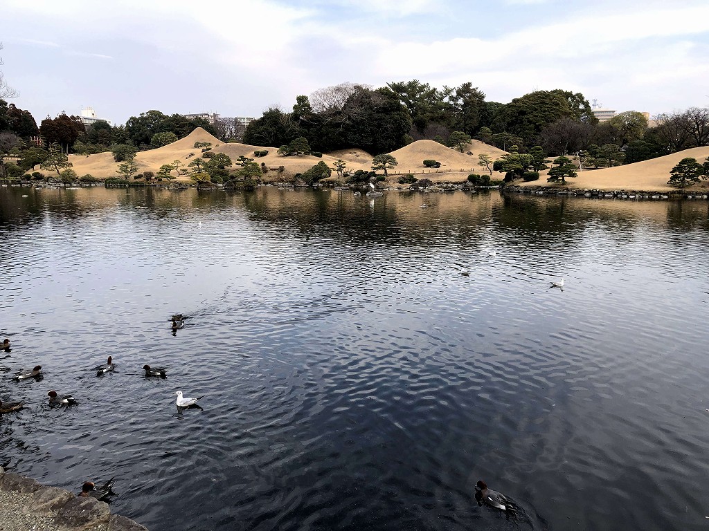 水前寺成趣園の池