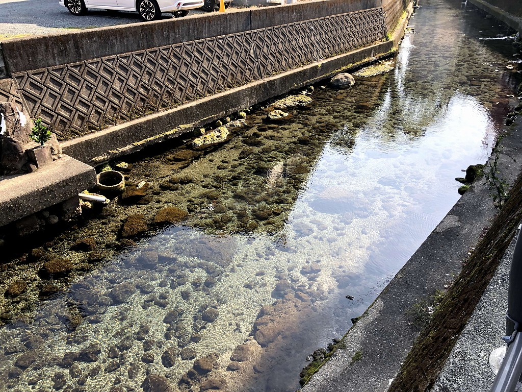水の綺麗さ