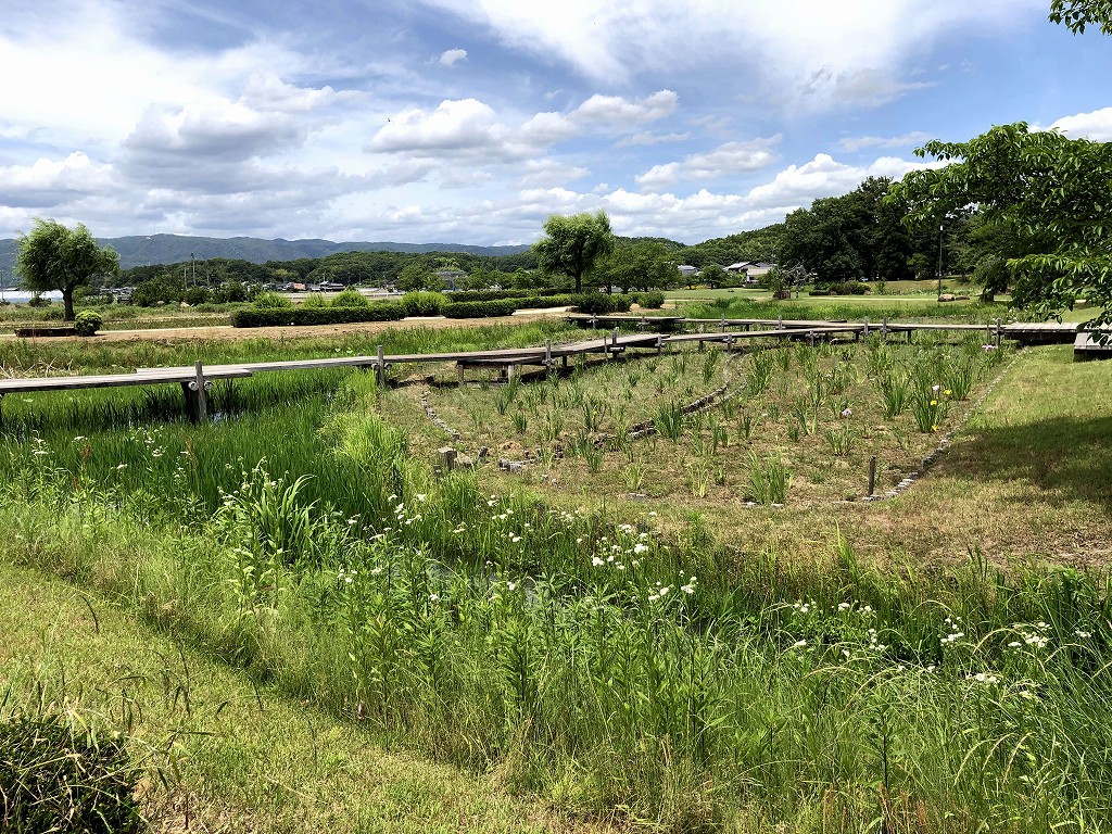 のどかな風景が広がる、備中高松城跡
