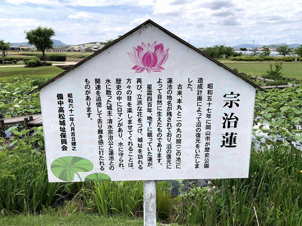 宗治蓮