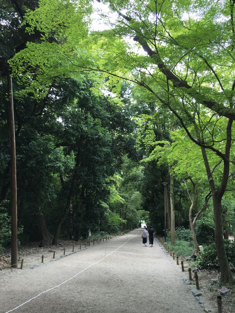 下鴨神社の糺の森