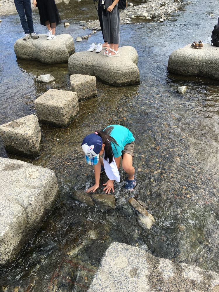 鴨川デルタでの水遊び