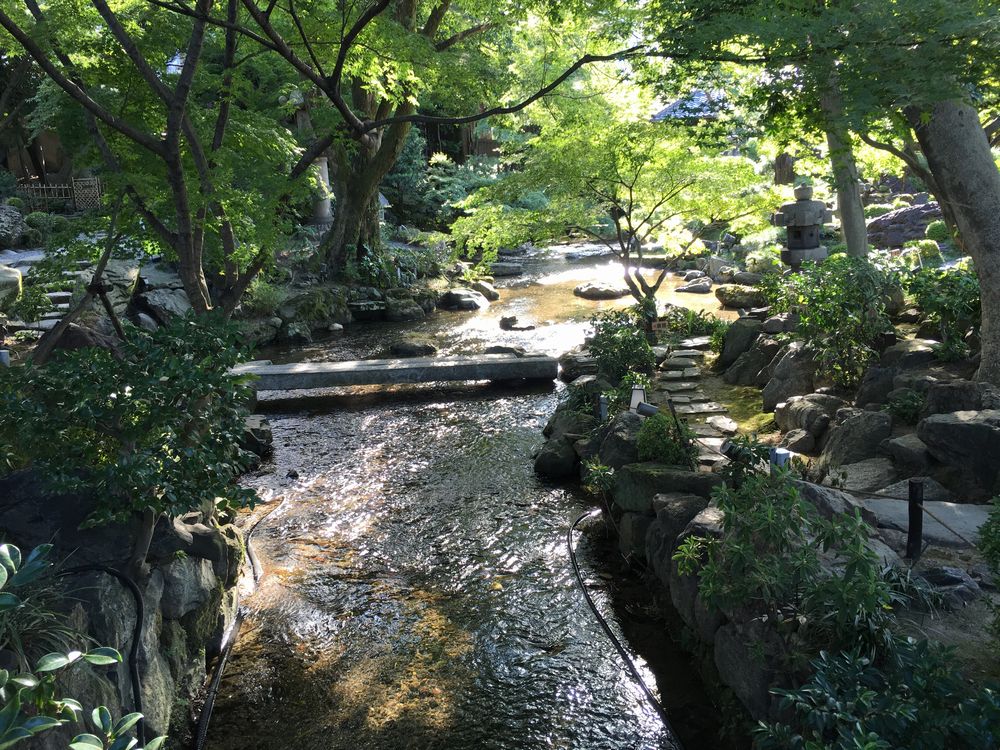 がんこ高瀬川二条苑の庭