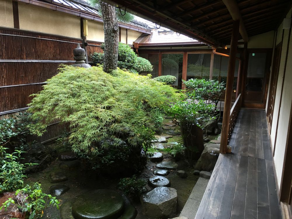 雨に濡れた正庵の中庭