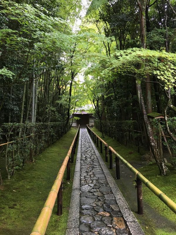 京都の大徳寺の高桐院の参道