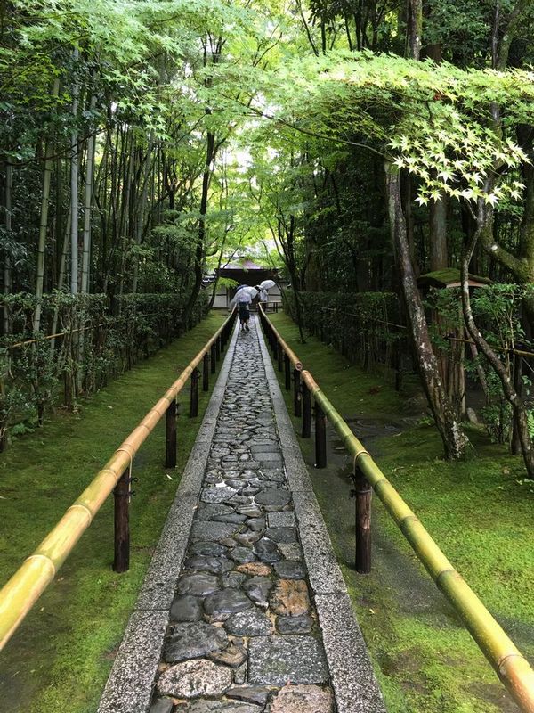京都の大徳寺の高桐院の参道