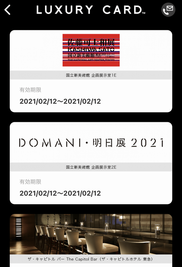 ラグジュアリーカードの美術館優待チケット1
