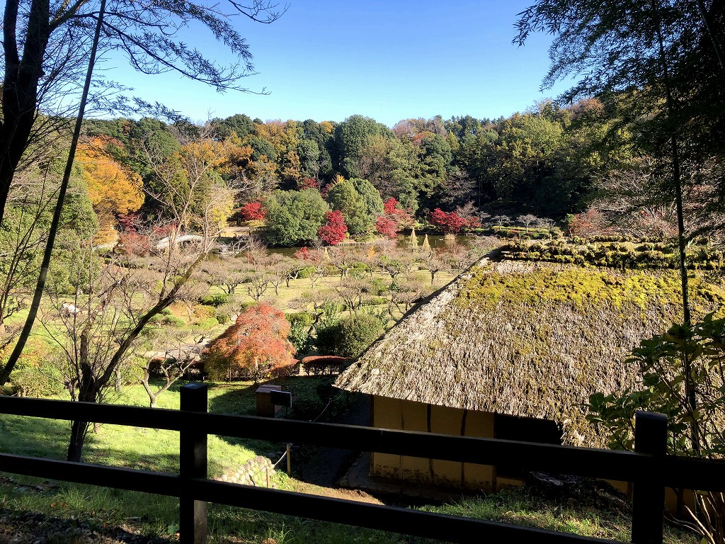 薬師池公園の江戸時代の民家と紅葉