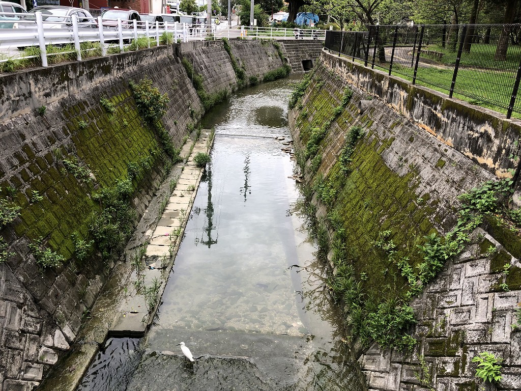 与儀公園のガーブ川