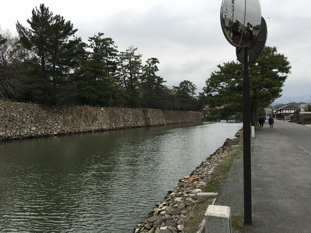 松江城の堀沿いの散歩