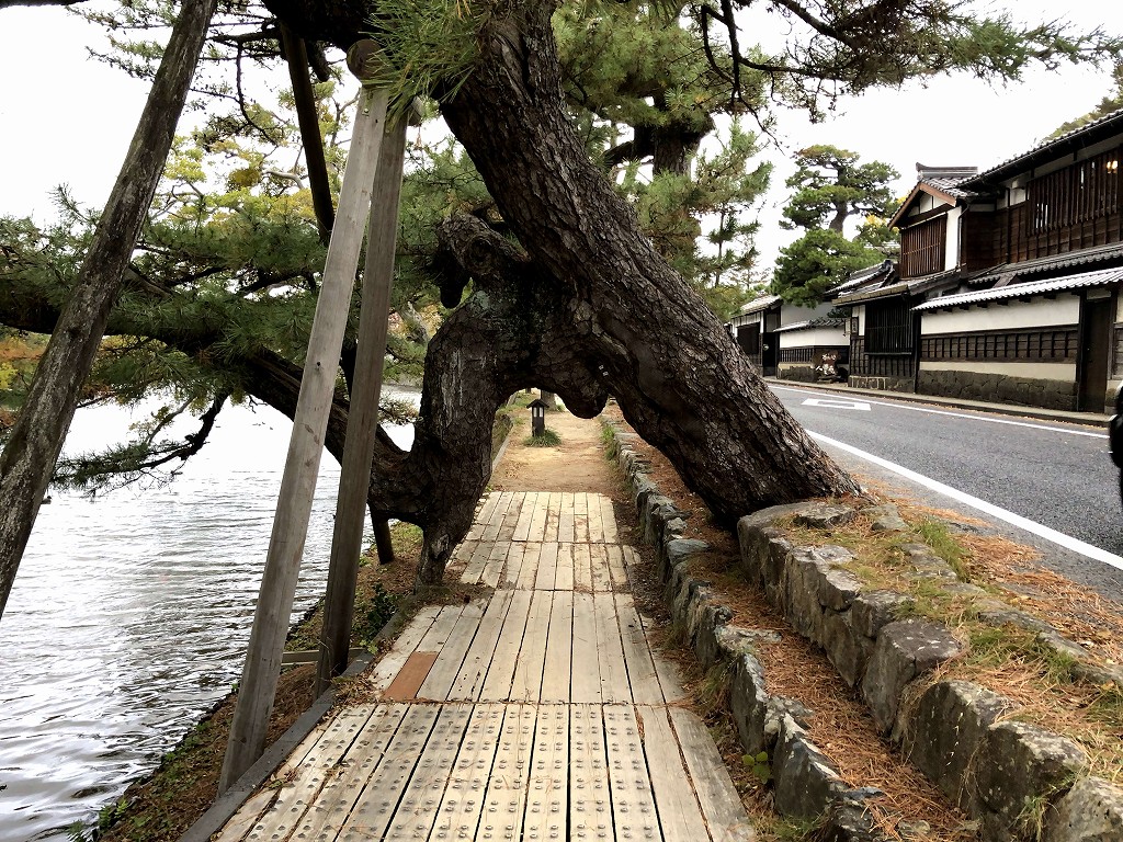 松江城の塩見縄手2