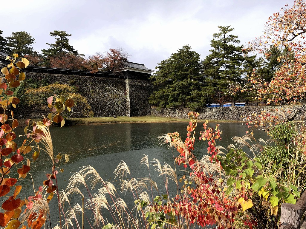 松江城のお堀端の秋