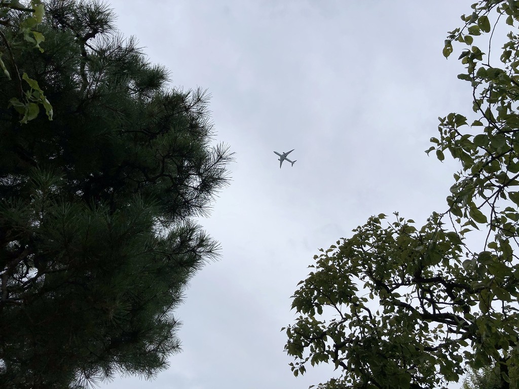 鳩森八幡神社の上の飛行機