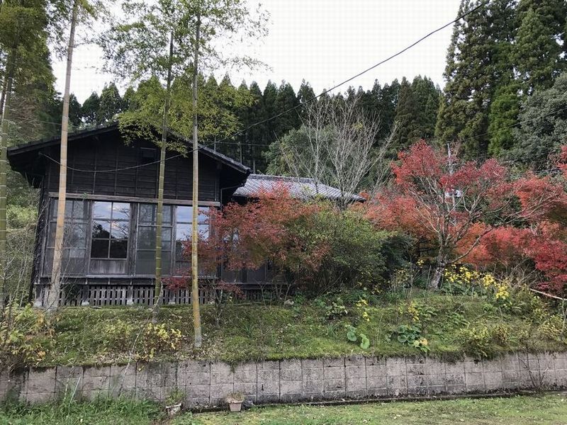 地鶏庵城の平の外観1