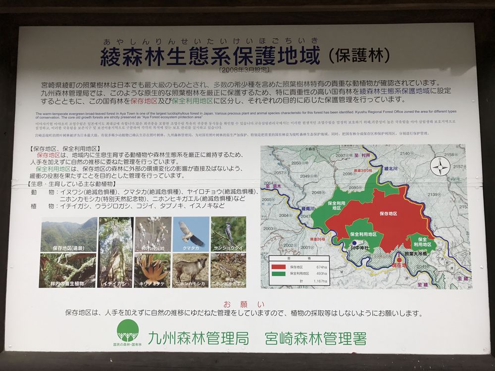 綾地区の照葉樹林の説明2