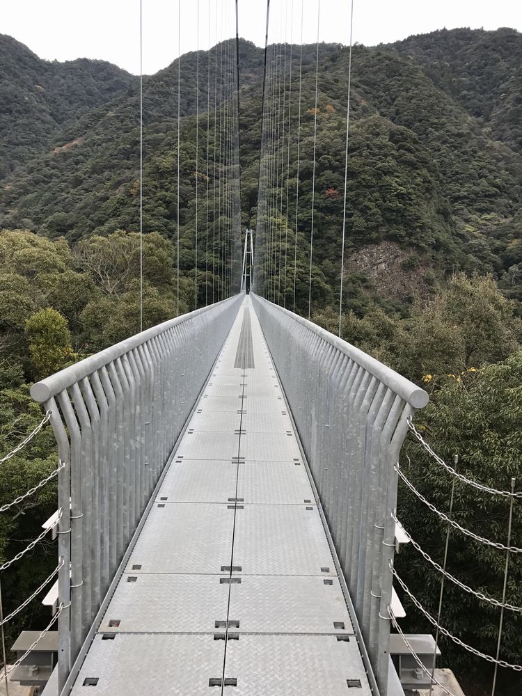 照葉大吊橋3