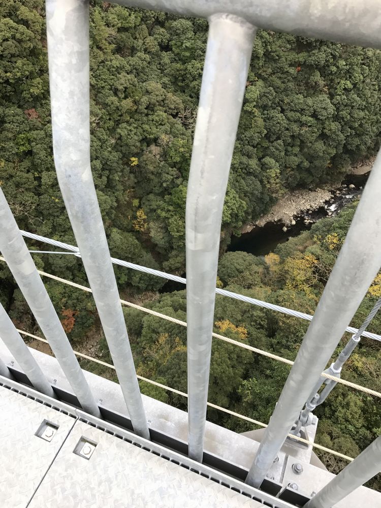 照葉大吊橋6