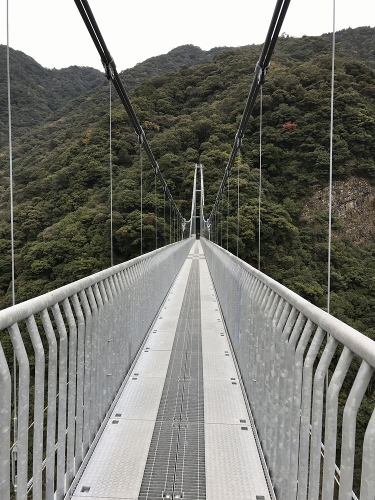 照葉大吊橋7