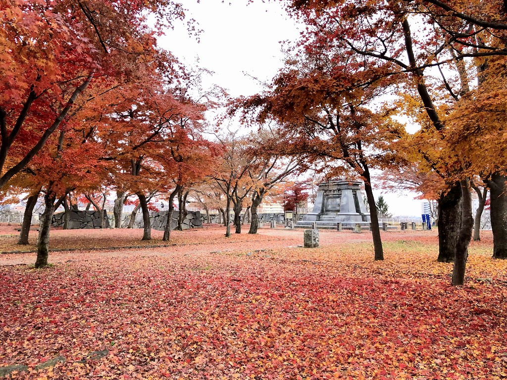 盛岡城跡の本丸の紅葉1