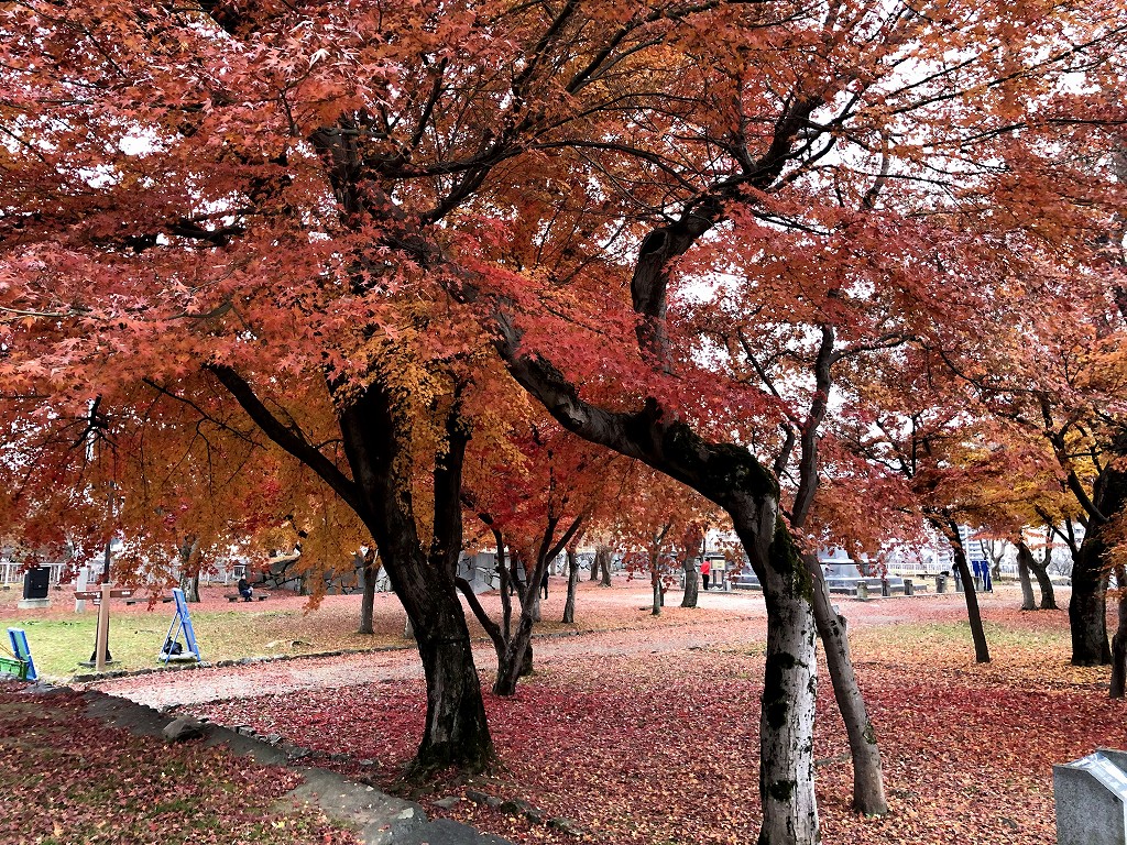盛岡城跡の本丸の紅葉2