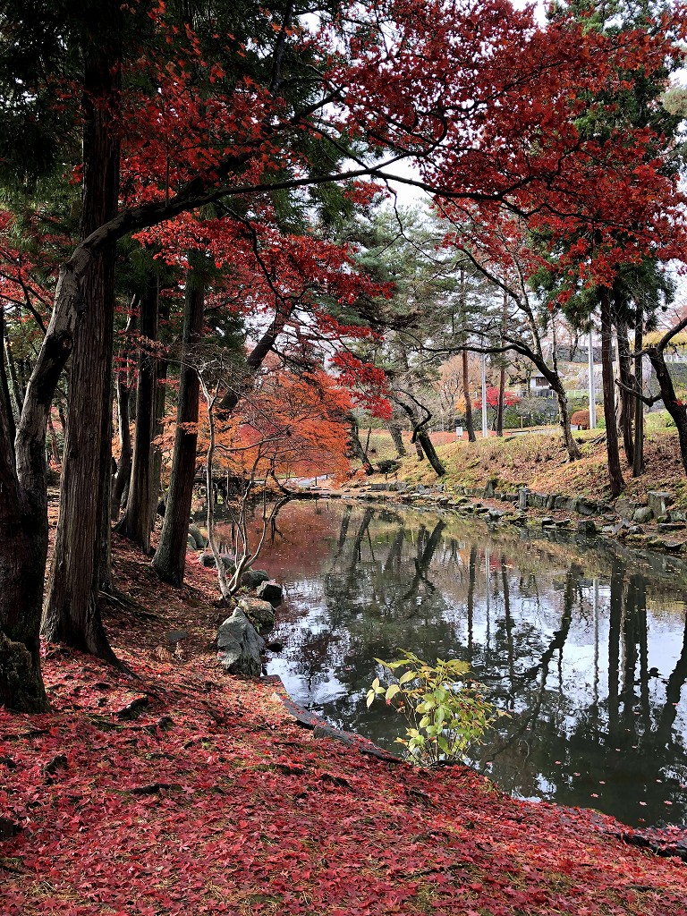 盛岡城跡公園の紅葉