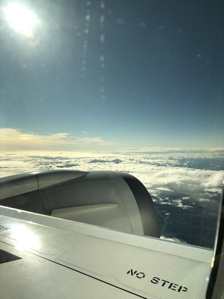 JAL422便ビジネスクラスの9A座席3