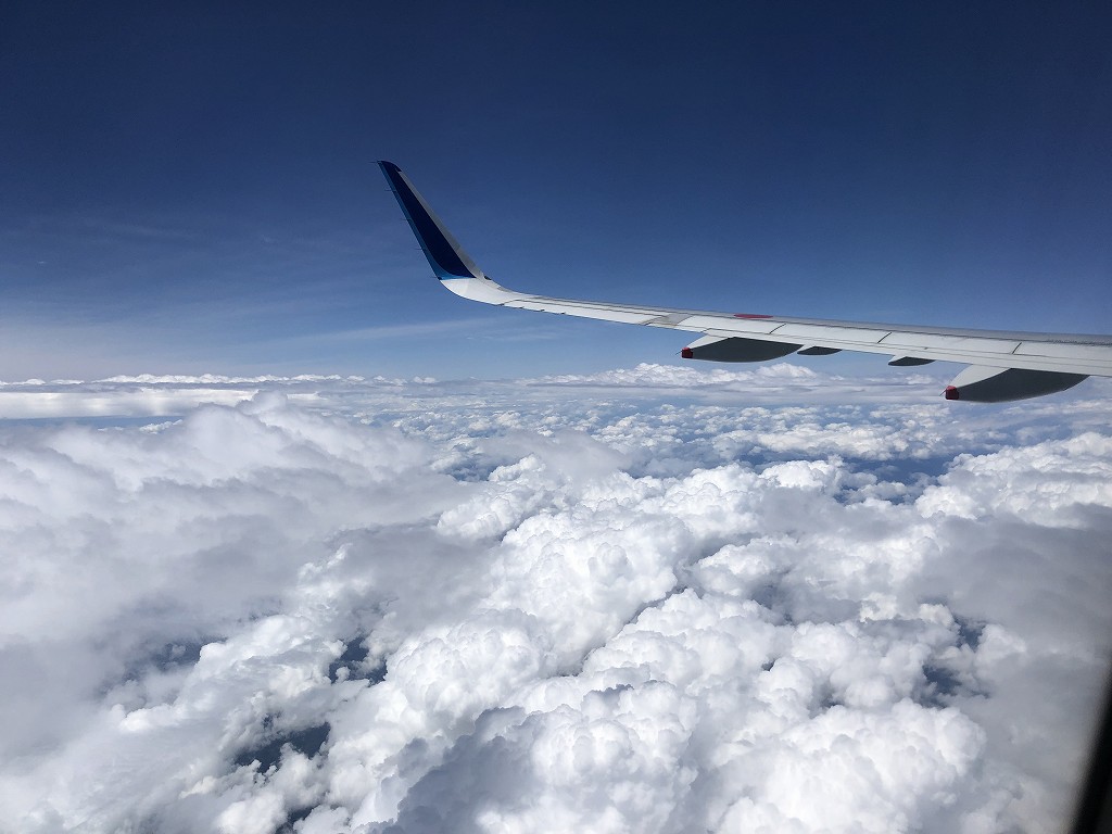 雲の上のANA666便