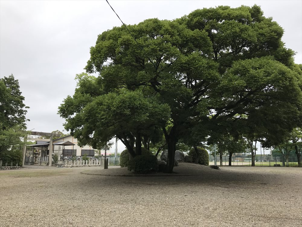 桑名城の本丸跡2