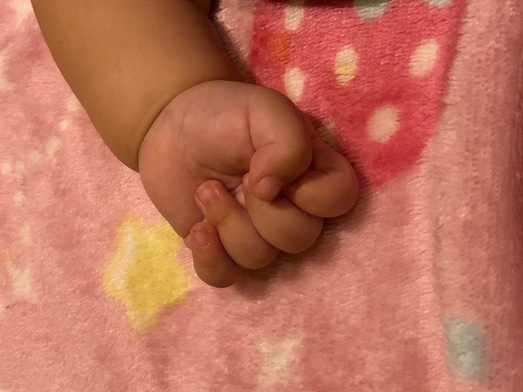 赤ちゃんの小さな拳