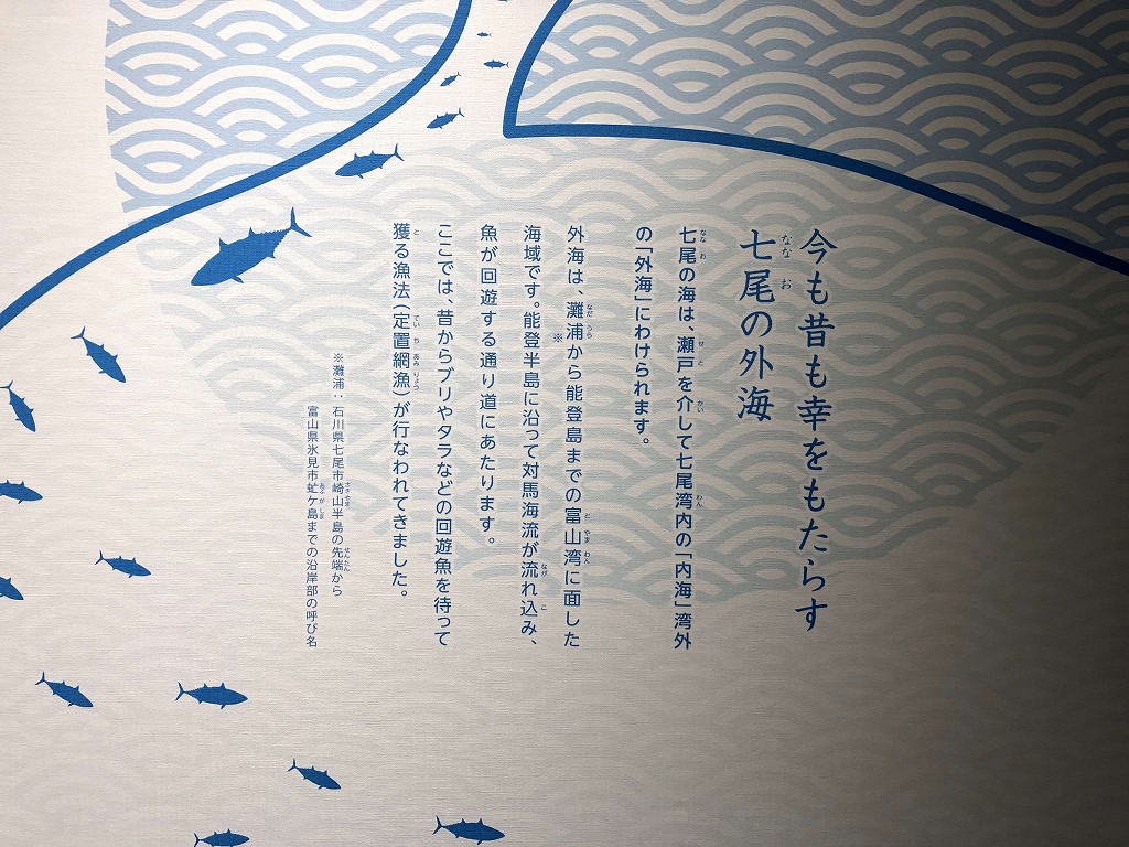 のと里山里海ミュージアムの海産物の説明2