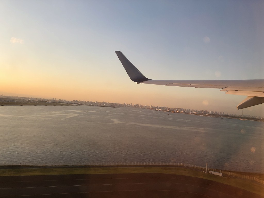 離陸直後のJAL219便からの機窓風景