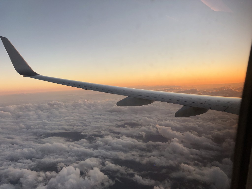 JAL219便からの夕焼け