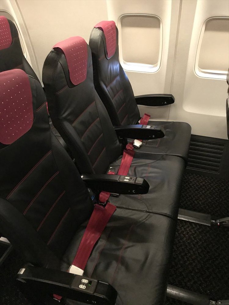 JAL231便の普通席