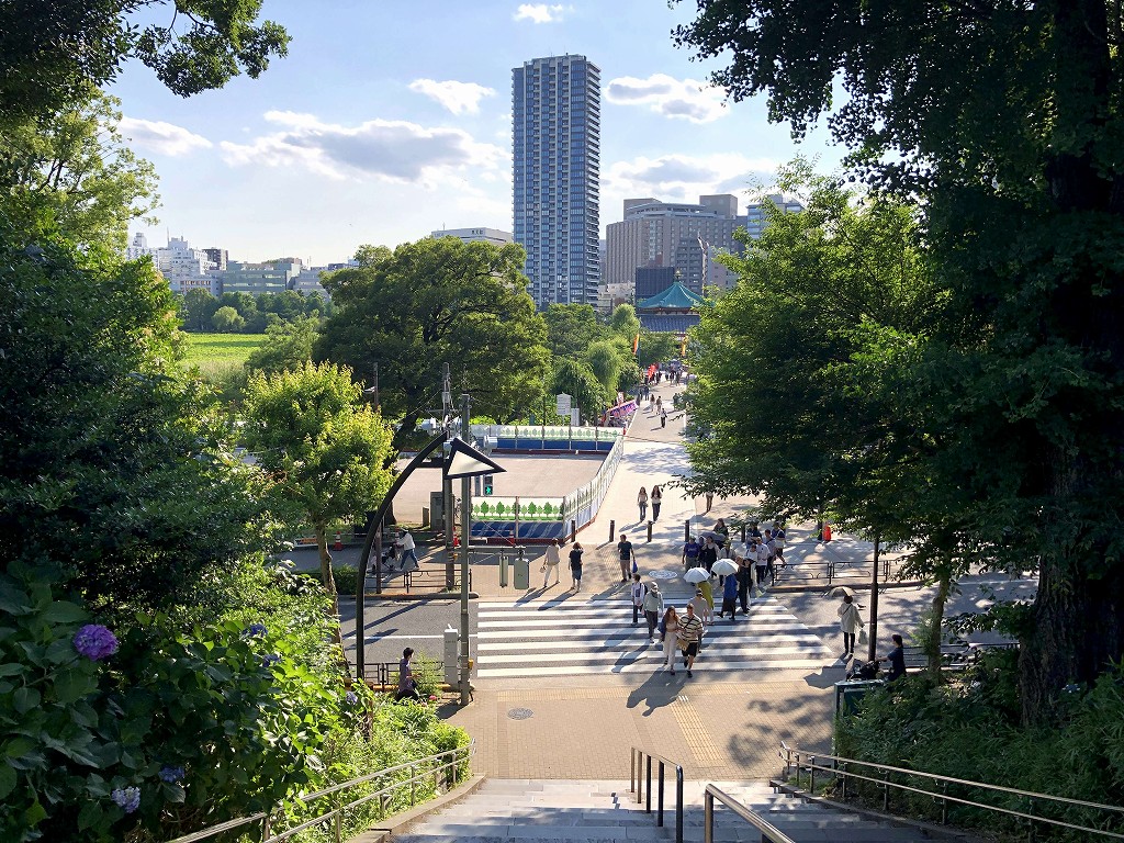 上野公園から不忍池を眺める