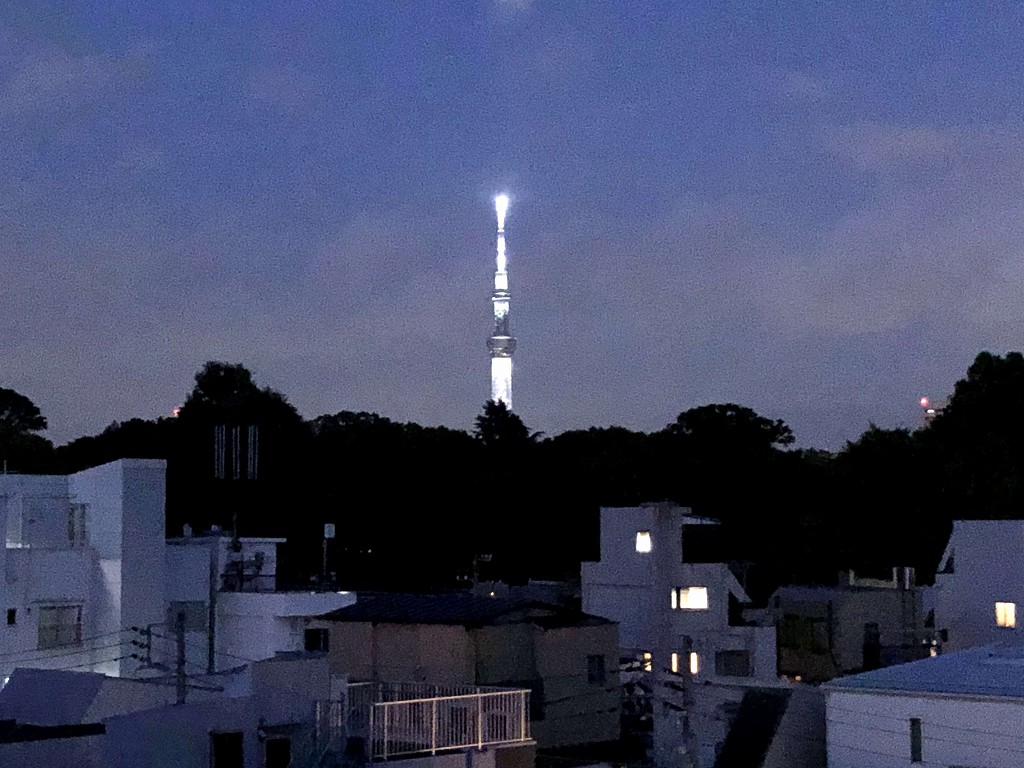 ホテルグラフィー根津から東京スカイツリー