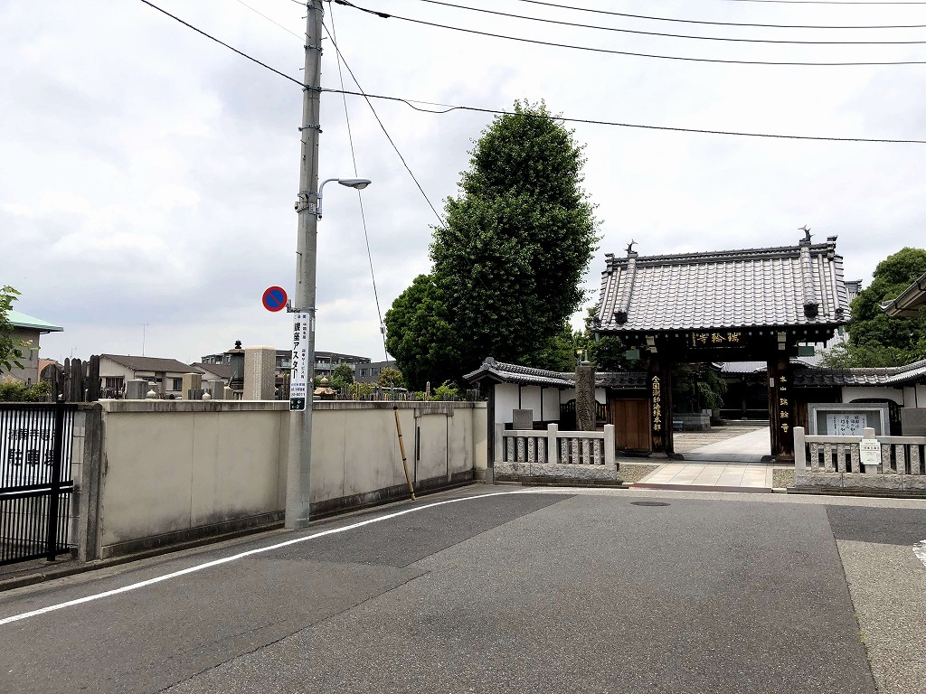 谷中の空が広い