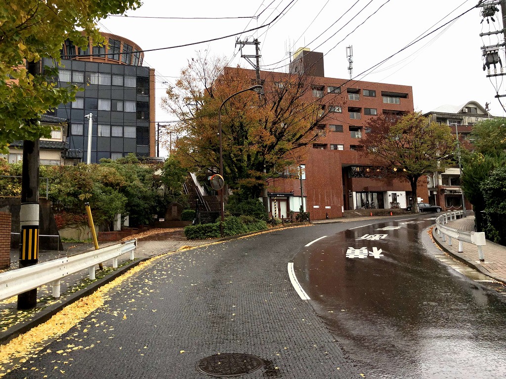 新潟の「どっぺり坂」前の坂1