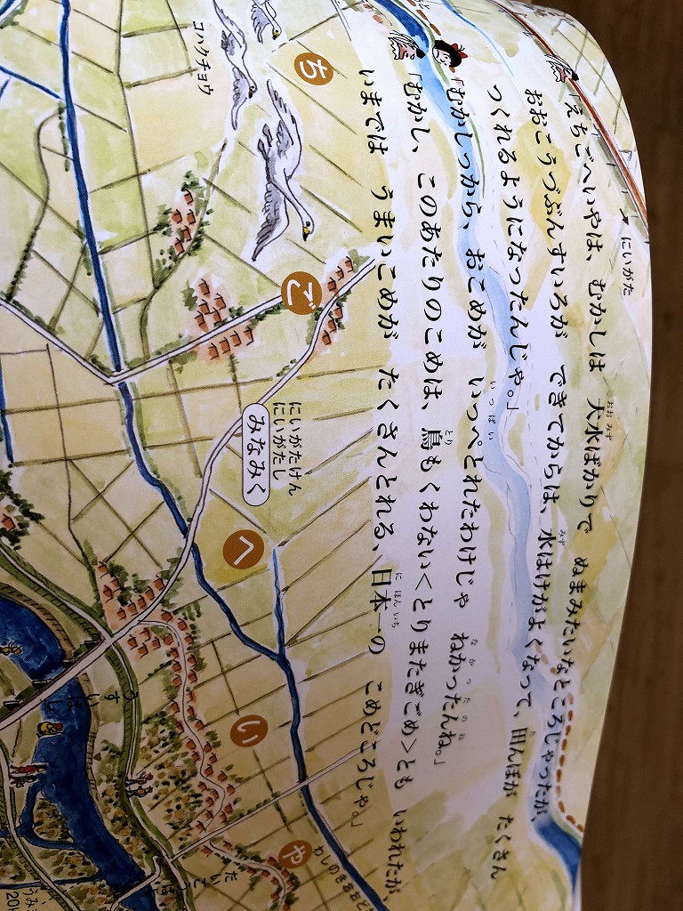 コンフォートホテル新潟駅前の信濃川の本2